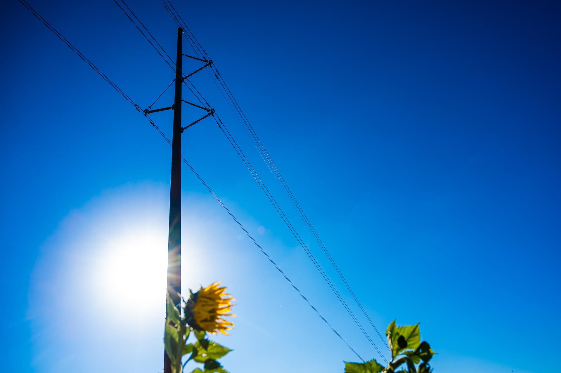 Big Cedar Substation